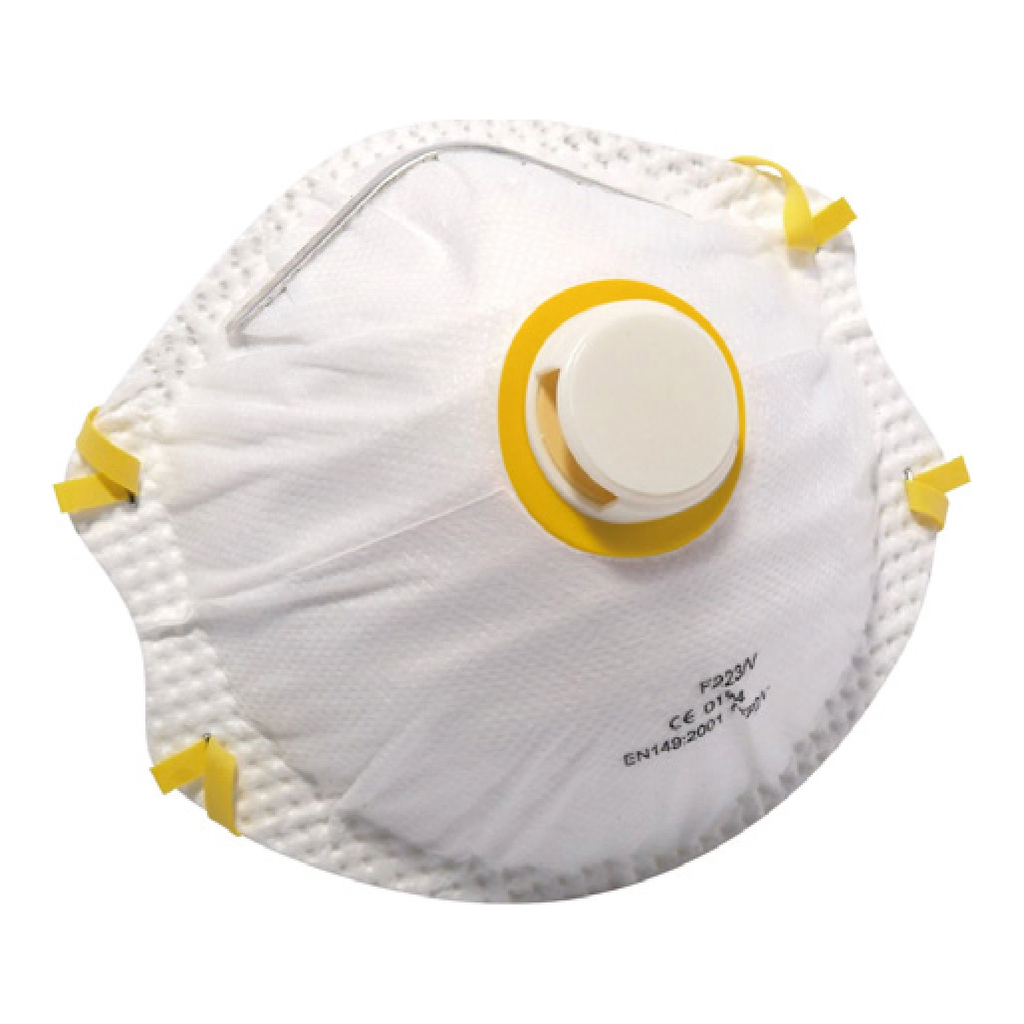 MASQUE PROT P2 M-S/VALVE /240