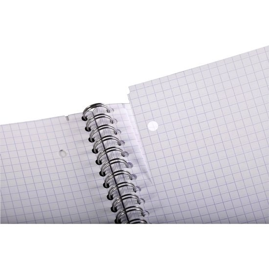 [OFFIC.089] CLAIREFONTAINE SCHRIFT A4 RUIT 5MM AS